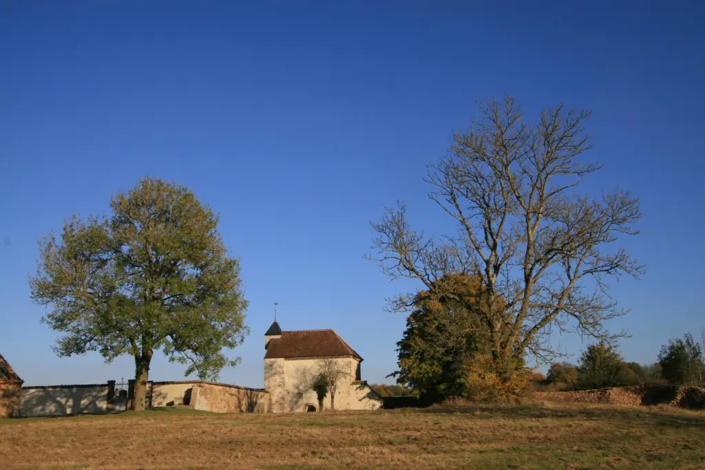 La chapelle Saint-Cartault à Dilo, commune d’Arces-Dilo, entre deux grands arbres.