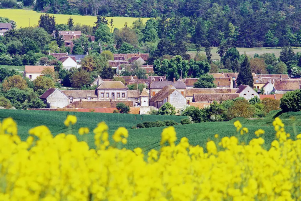 La Postolle au creux de son vallon, ses toits derrière un champ de colza en fleur.