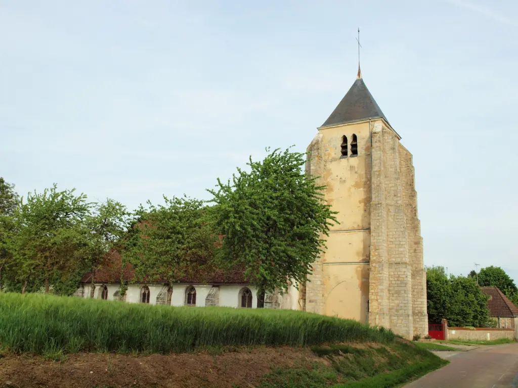 L’église de Saint-Loup-d'Ordon, tour carrée et longue nef, au bord des champs.